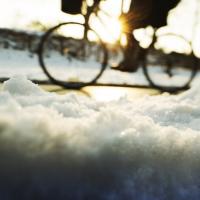 Batavus - Vinter - Cykler